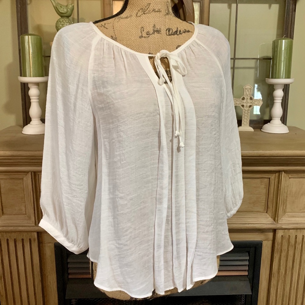 Ladies sheer blouse with lace inset